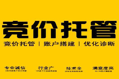 百度广告平台运营推广的技巧与趋势